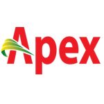 Executive/Ass. Mgr. - Finance & Accounts : Apex